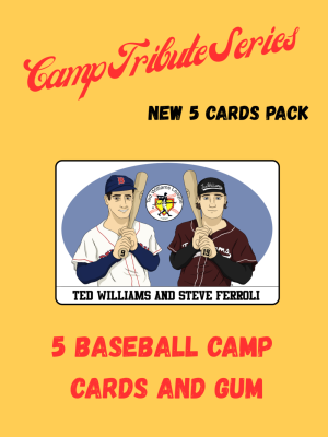 2025 Summer Baseball Camp Card Pack #2